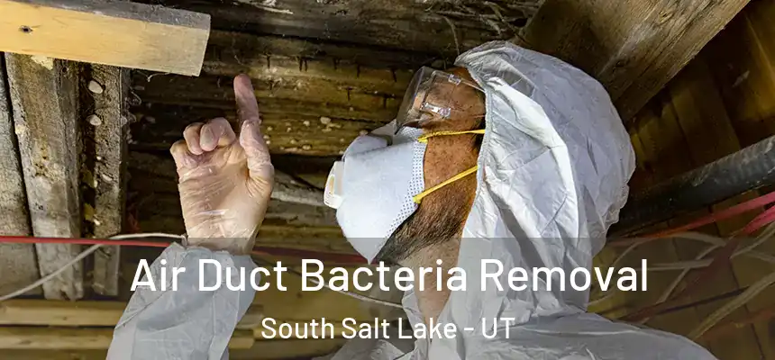  Air Duct Bacteria Removal South Salt Lake - UT