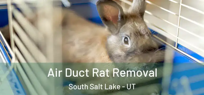  Air Duct Rat Removal South Salt Lake - UT
