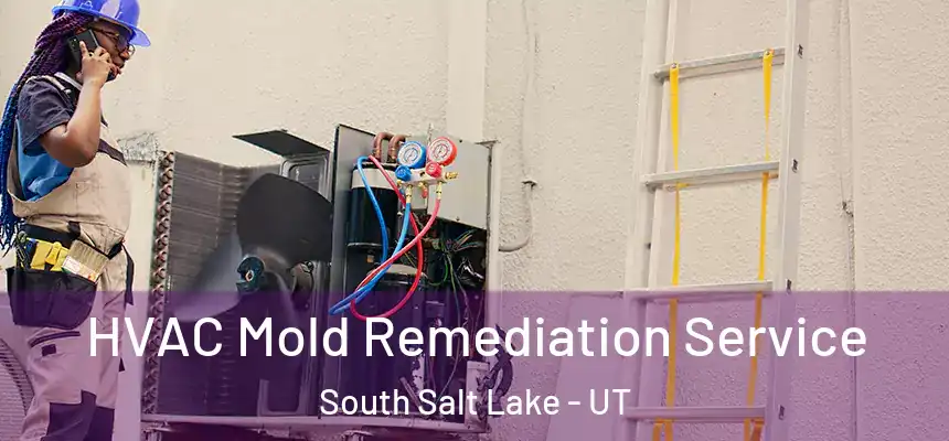  HVAC Mold Remediation Service South Salt Lake - UT