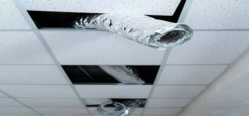 Affordable HVAC Sanitizing After Pest Removal in South Salt Lake