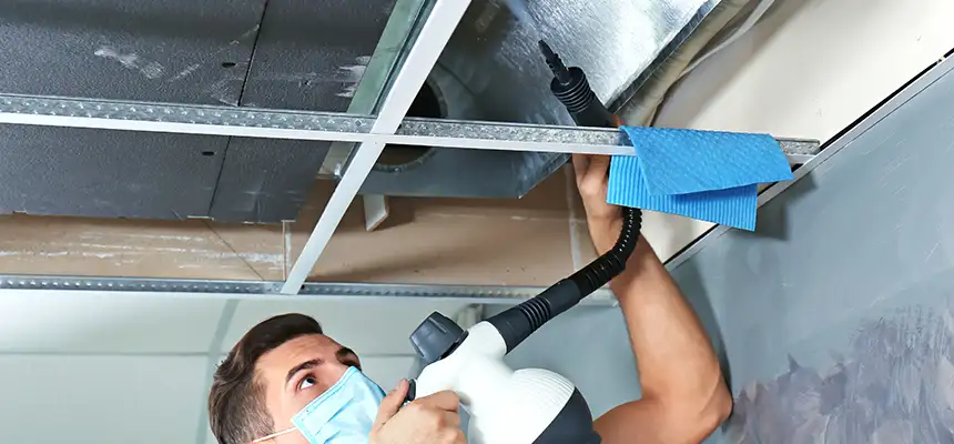 Our Air Duct Rodent Removal Services in South Salt Lake, UT
