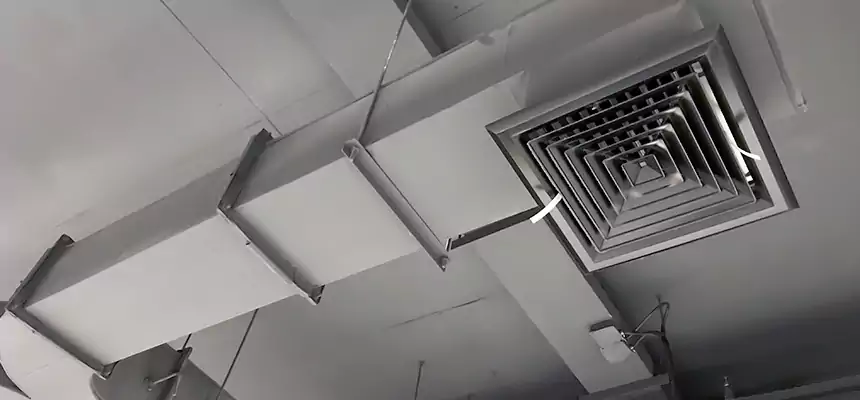 Restorative Allergy Relief Vent Cleaning – Coil, Blower & Housing Detail in South Salt Lake