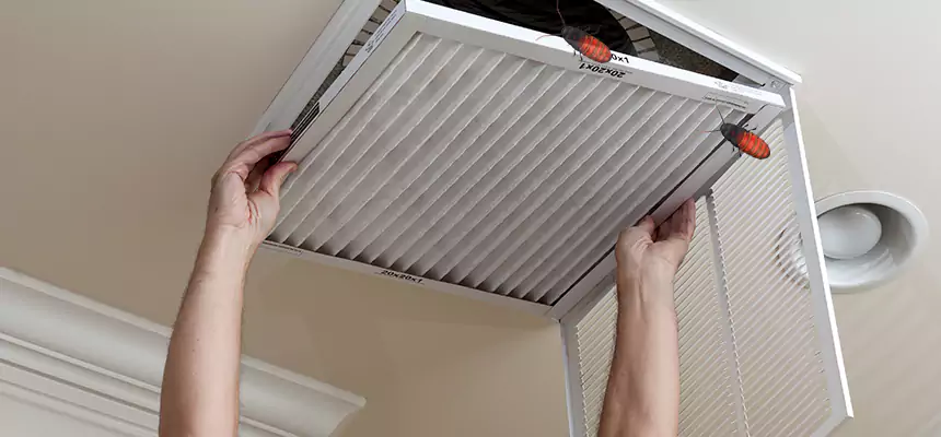 Our Insect Removal from Air Ducts Services in South Salt Lake, UT