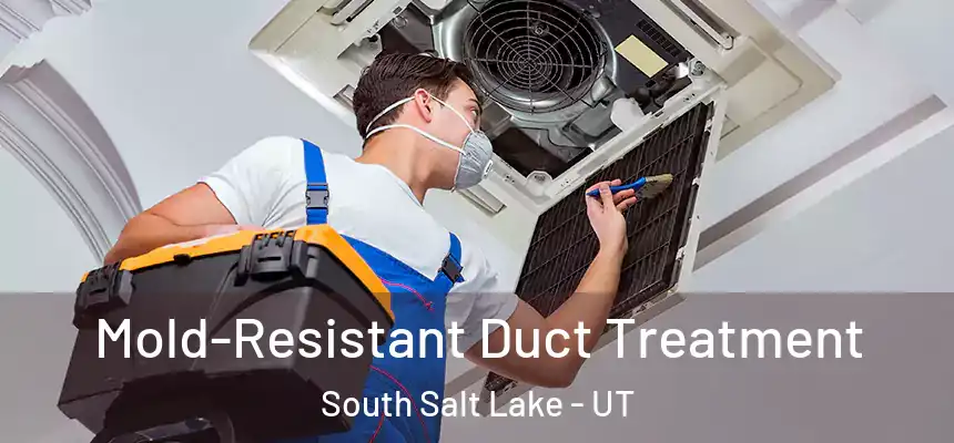  Mold-Resistant Duct Treatment South Salt Lake - UT