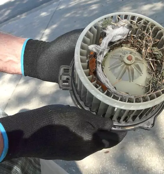 About Air Duct Rat Removal in South Salt Lake, UT