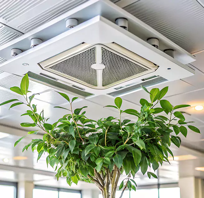 Why Homeowners & Businesses Trust Us in South Salt Lake, UT?